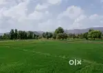 Plot for sale in the Premium Sandalwood with all the facilities