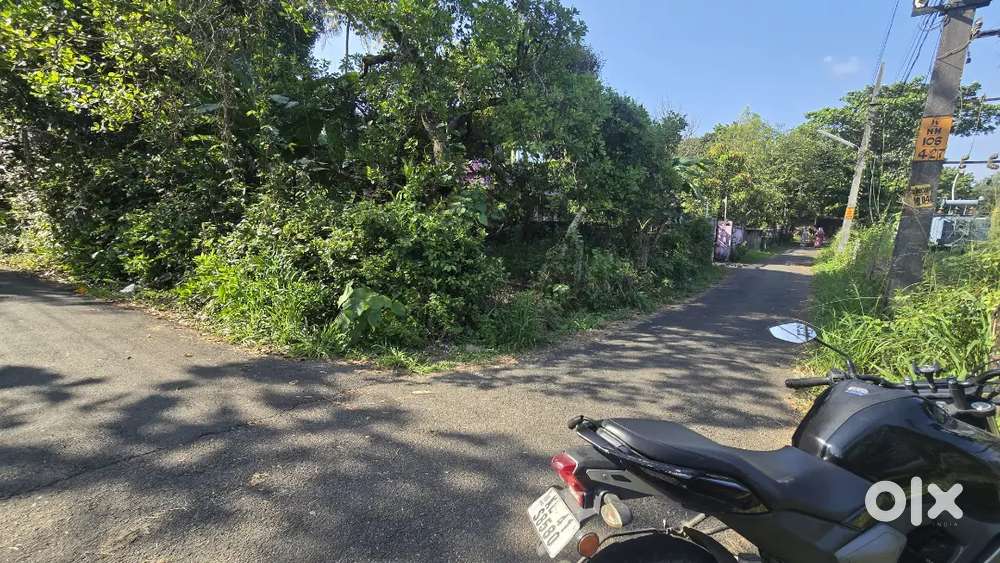 Angamaly karukutty 300 meter NH, 8 cent land for sale immediately