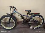 Dexter bicycle
