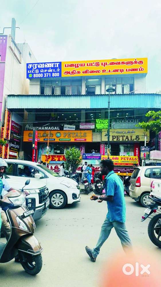 Baby Sitter - RS Puram Coimbatore