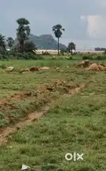 Plot sell adra saka road
