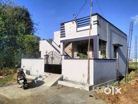 Luxury house