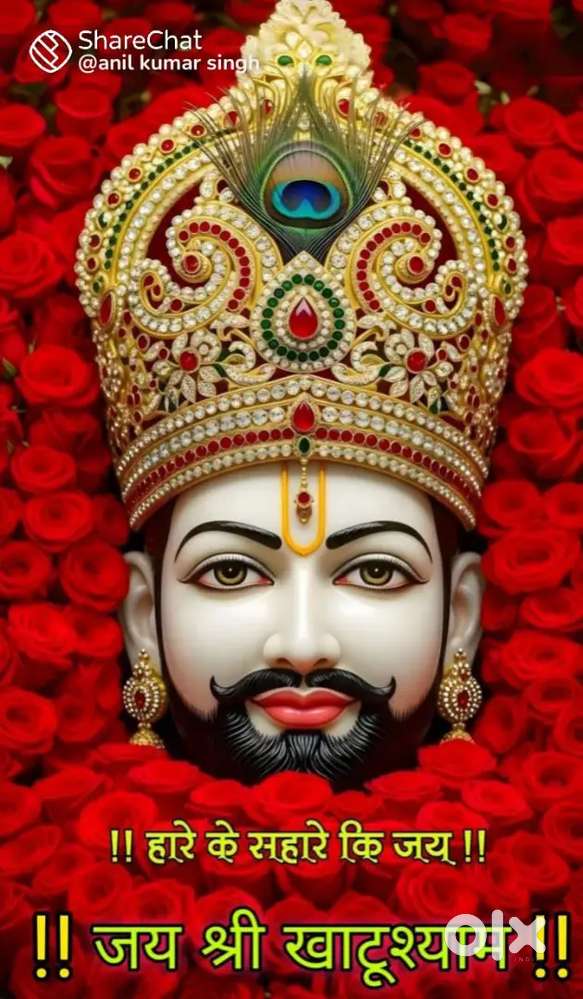 I need a roommate jo job karta ho