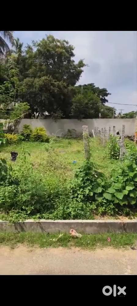Residential Site Near to main road