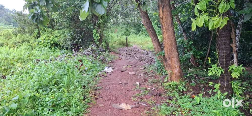 50 cents of Property for sale near Providence College Chengannur