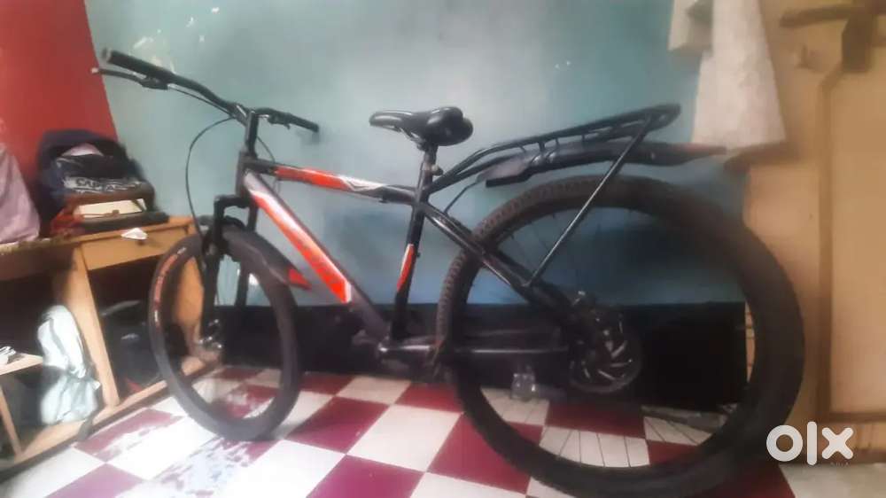 Rohn Disc Brake Adult Cycle