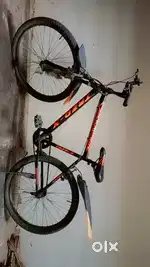 A Well Maintained, Brand New Cycle of TRED-X of Year-2024
