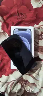 I phone 12