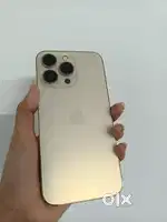 Iphone 13pro gold color 256gb with box accessories at affordable price