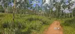 11Acre Plot For Sale 1Lakh(Neg) Per Cent muvattupuzha