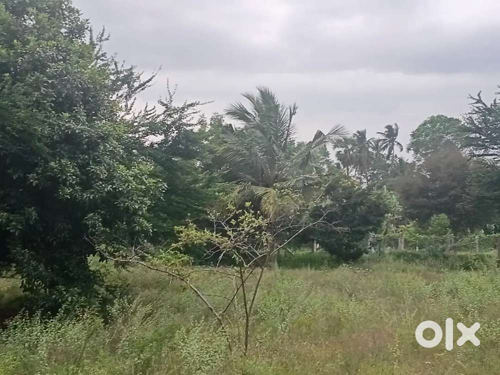 On road farmland sale