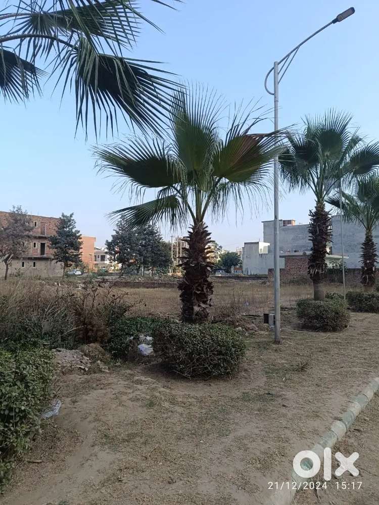 Plot for sale