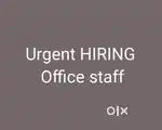OFFICE STAFF
