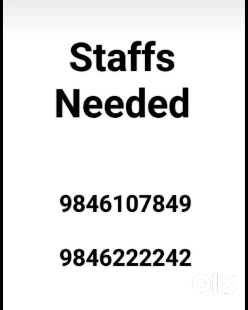 Female staff with computer knowledge
