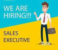 Sales Executive - Full Time - Thanjavur