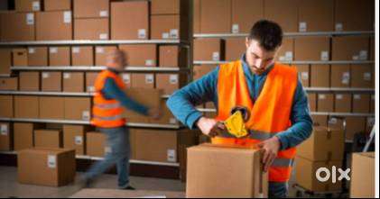 Urgent Requirement for Picker Packer at Pune