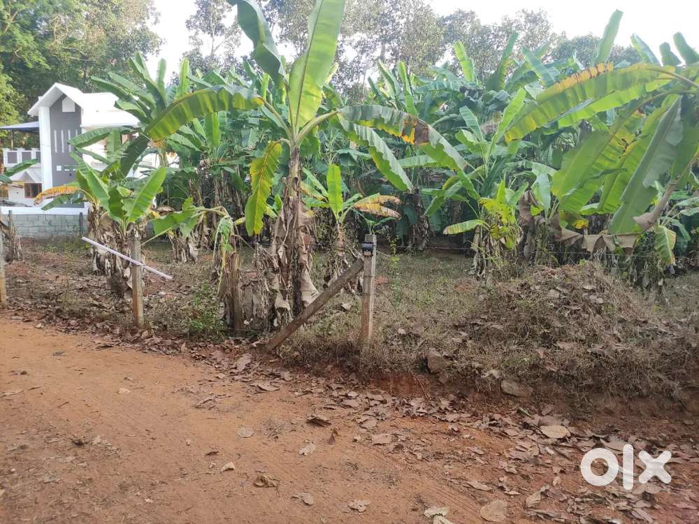 House plot for sale @ manakkad,thodupuzha