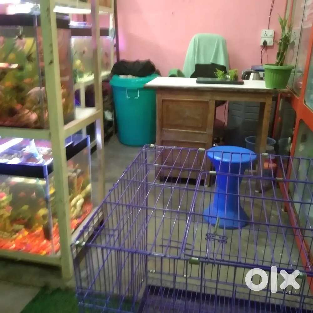 Rent cachar market