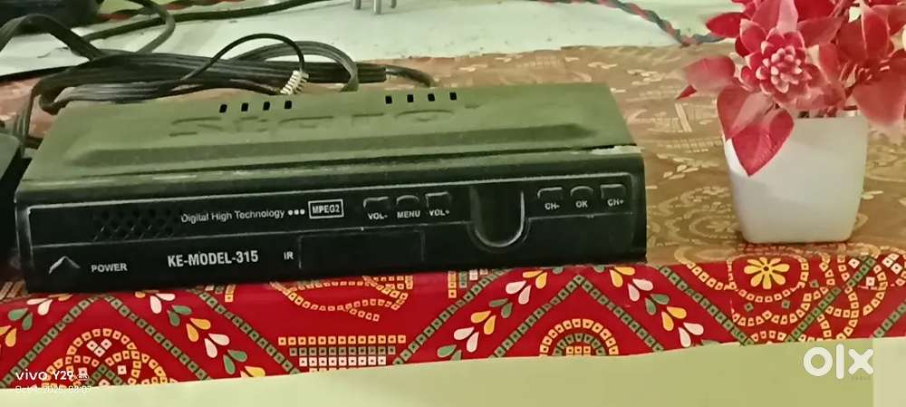 Set top box free dish wala