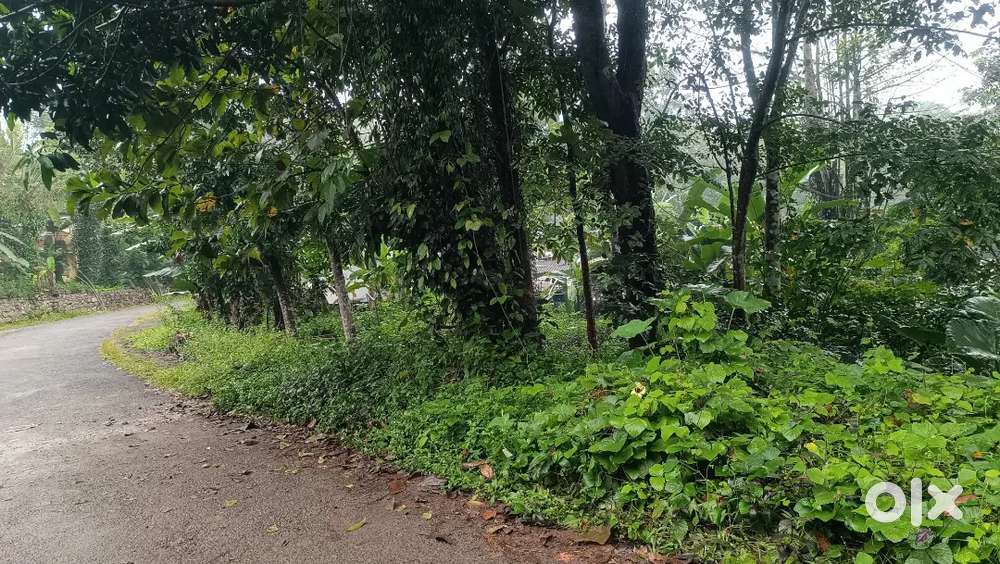 10. 5 സെന്റ് സ്ഥലം, ദീർഘ ചതുരാകൃത ഭൂമി