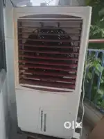 3 months old cooler for sale
