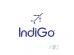 Vacancy in indigo Airlines urgent hiring apply fast
