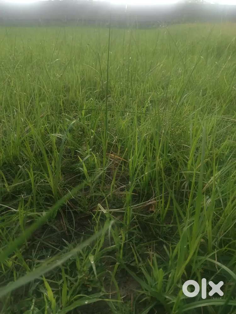 Between Proddatur and Mydukur