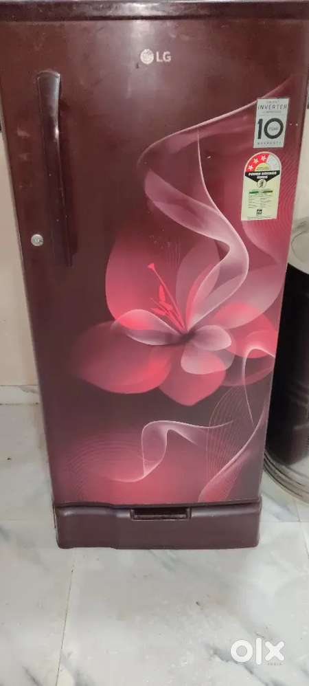 5 years old hai bill  hai