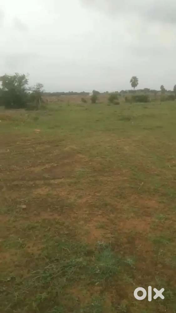 All types land and farming land