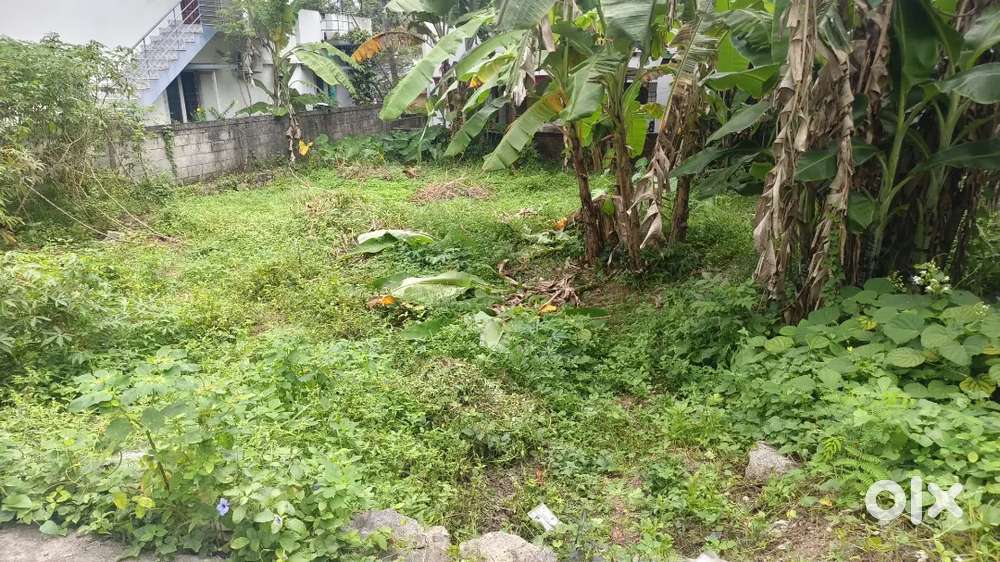 ULOOR JN NEAR 4 CENT 8 CENT ലോറി SITE DRY LAND VERY GOOD RESIDENTIEAL