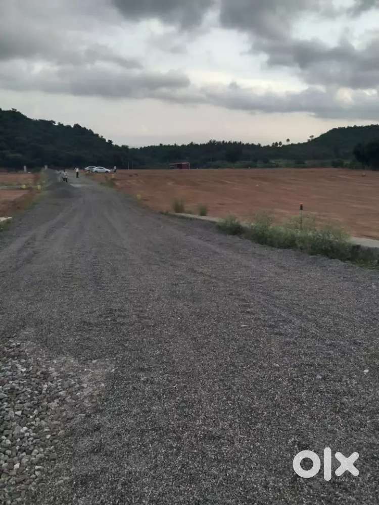 Low budget price Ettimadi