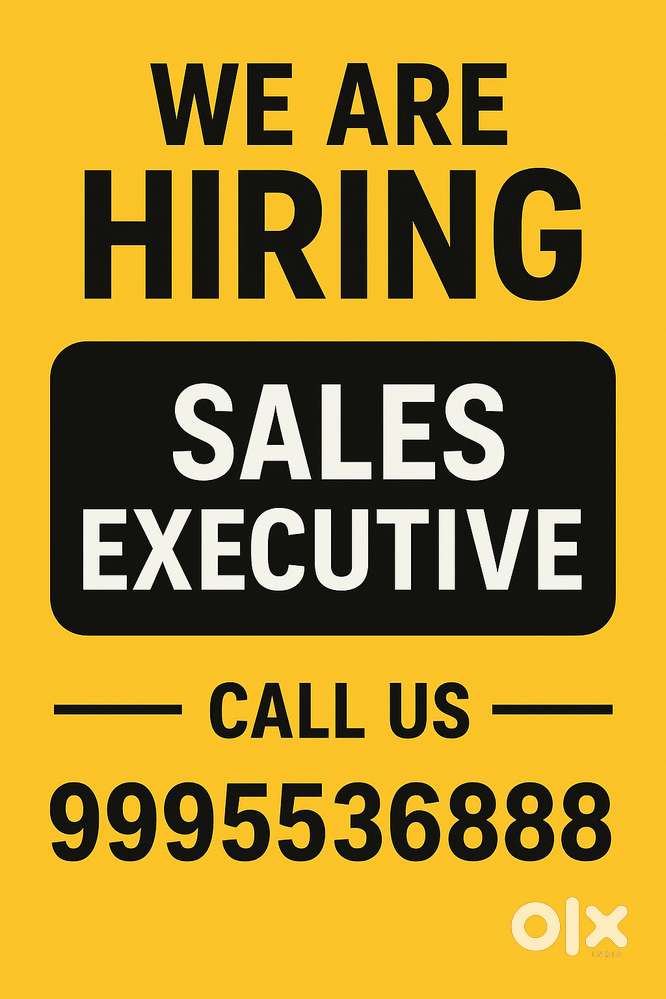 Sales Executive - Salary + Incentive