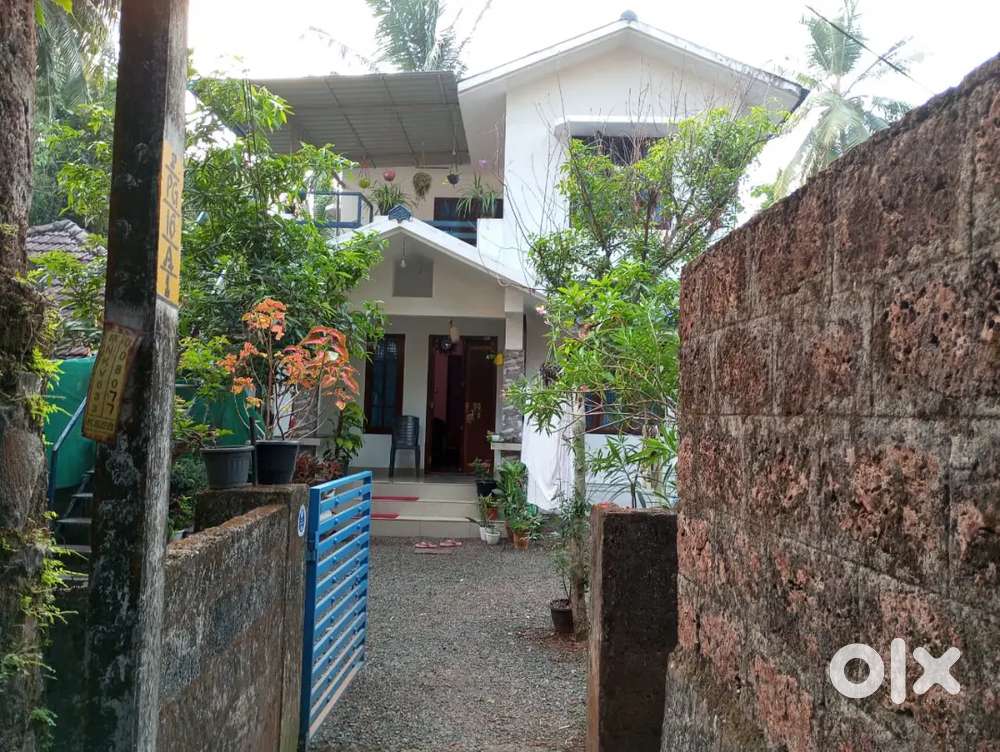 Pg hostel near mims and lulu for girls