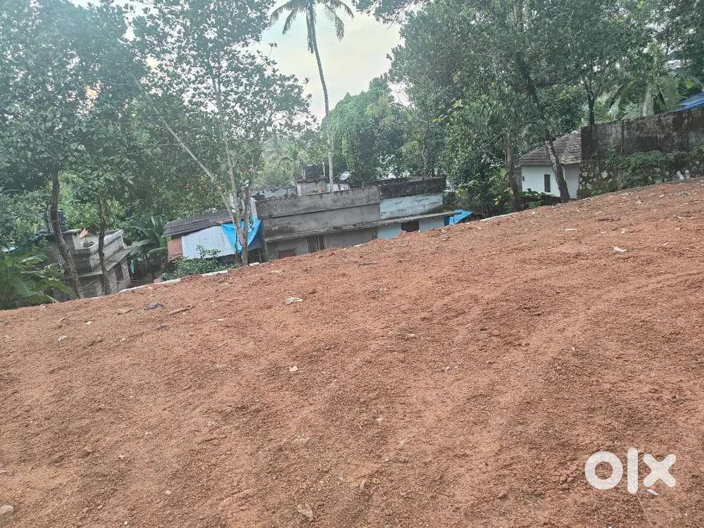 വീടുവയ്ക്കാൻ അനുയോജ്യമായ പ്ലോട്ട്