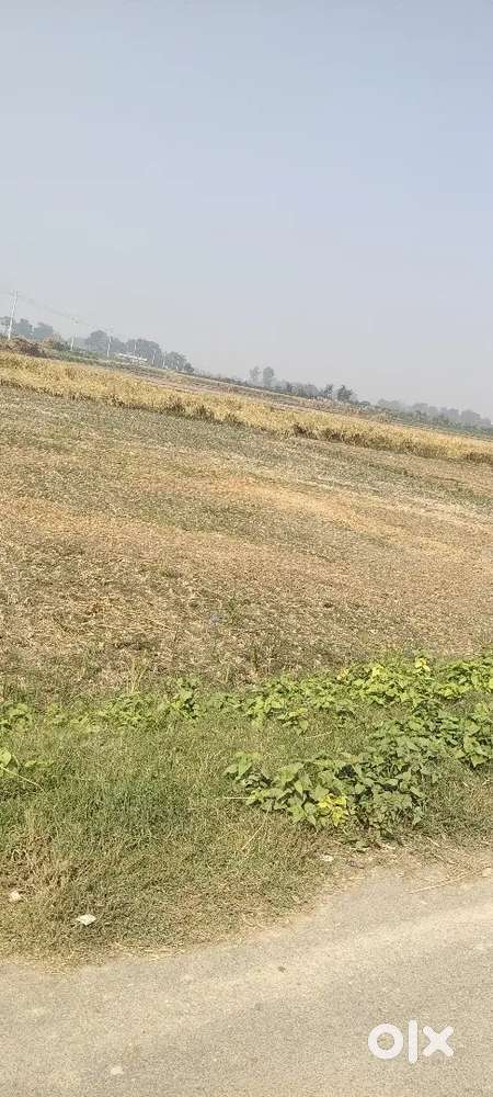 100 yard Plot for selling