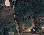 72 Cent Roadside Land for Sale in Challoli, Anickad, Kottayam