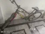 Seltos cycle 2024
