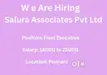 Field Executive
