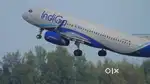 Jobs in indigo Airlines urgent hiring apply fast
