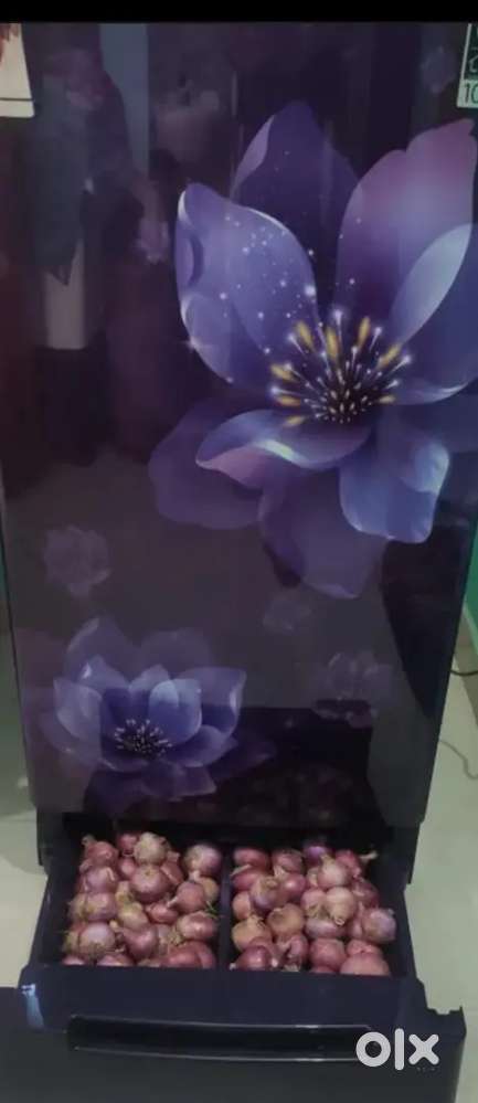 Whirlpool 207 L Direct Cool Single Door (Sapphire Blue)