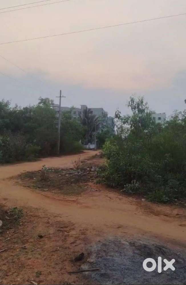 155 SQYD SOUTH WEST CORNER PLOT FOR SALE AT SUJATHANAGAR