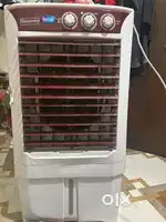 4 months old cooler