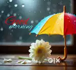 Support associate in surat Gujarat