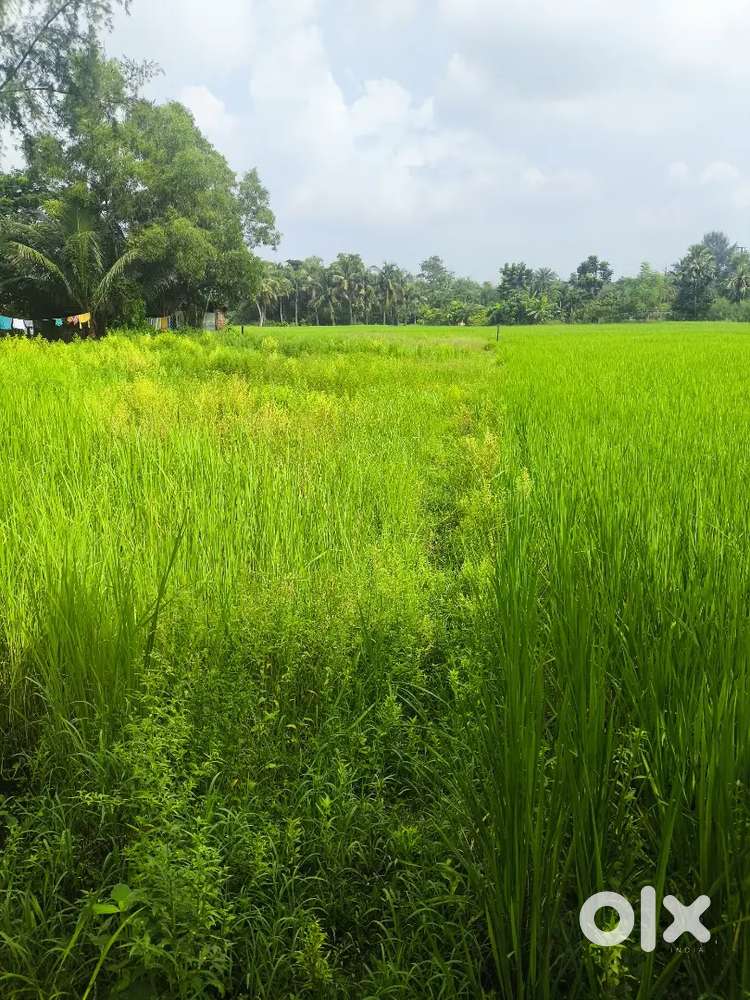 Plot for sell