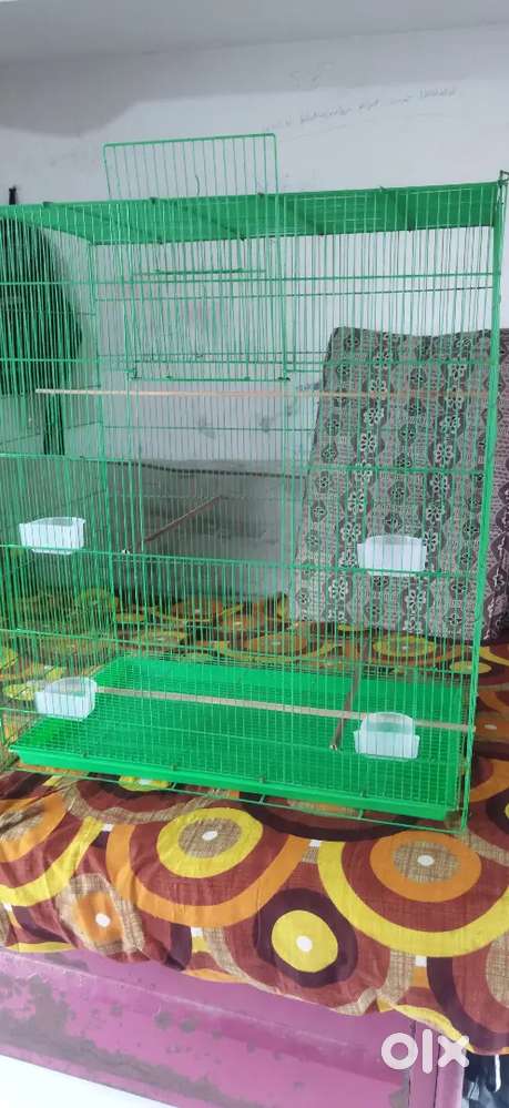 aplite asscris Good Candition Cage size 3x1/5.x Good Candi.No time pas