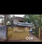 Near the Calicut University campus
