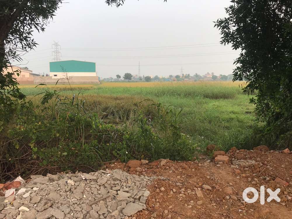 Agriculture land for sale