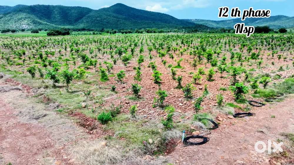 Vasavi old age home and real estate