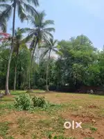 കണ്ണനൂർ പ്രകൃതിയുടെയും സമാധാനത്തിന്റെയും സമ്പൂർണ്ണ അനുഭവം