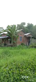 NH 15 road side land and house sell